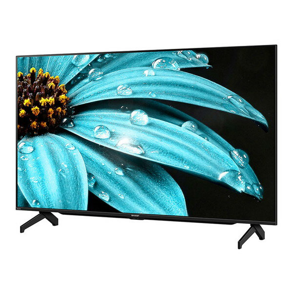 4T-C50EJ1 SHARP AQUOS 4K EJ1ライン [50型 地上・BS・CSデジタル 4K内蔵 液晶テレビ] エクプラ特選