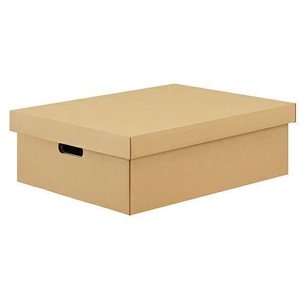 DB-490 クラフト アイリスオーヤマ 段ボール収納ケース 2枚セット メーカー直送