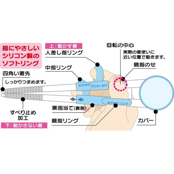 ADXT1 ファンターネ! スケーター 子供用 トレーニング箸 練習箸 14cm 対象年齢2～7才 右手用 つまみやすい四角い箸先 3