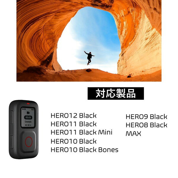 ARMTE003 GoPro The Remote [ザ・リモート GoProアクセサリー]