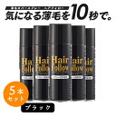 【お得な5本セット】 増毛スプレー ヘアフォロー ブラック 150g 薄毛隠し 薄毛対策 ボリュームアップ スプレー 薄毛 カバー 抜け毛対策 増毛 ヘアカバー...