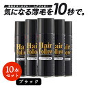 【お得な10本セット】 増毛スプレー ヘアフォロー ブラック 150g 薄毛隠し 薄毛対策 ボリュームアップ スプレー 薄毛 カバー 抜け毛対策 増毛 ヘアカバ...