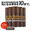 【お得な10本セット】 増毛スプレー ヘアフォロー ブラウン 150g 薄毛隠し 薄毛対策 ボリュームアップ スプレー 薄毛 カバー 抜け毛対策 増毛 ヘアカバ...