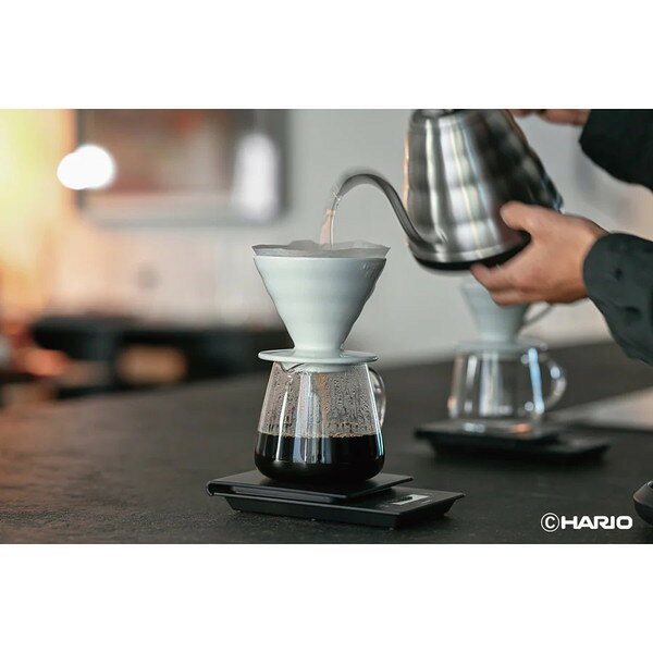 VBS-36 HARIO V60 [�Хꥹ�������С� 360]