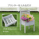 天然木製チェア型プランタースタンド 幅40cm ダークグリーン CP40DGN 住まいスタイル メーカー直送