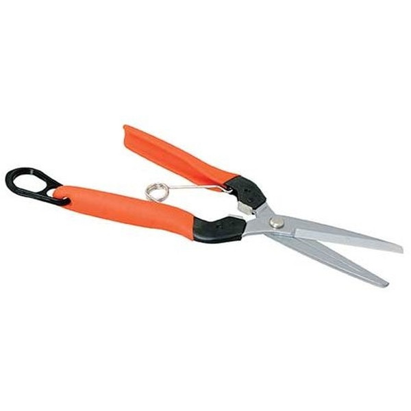 ���ܥƥ� #AG-10 �׷�ۼ��Ĳ̤Ϥ��� ���ܥƥ�