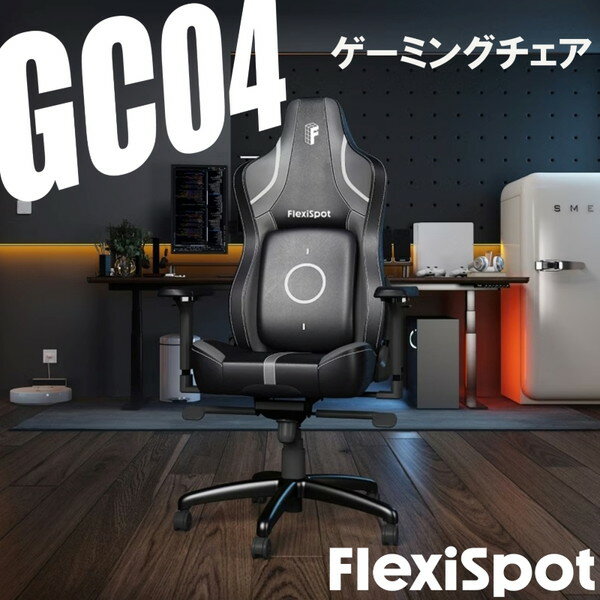 GC04BGJA Flexispot ブラック [ゲーミングチェア]