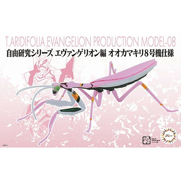 Neon Genesis Evangelion - 自由研究シリーズ No.232 エヴァンゲリオン編 オオカマキリ 8号機仕様 フジミ模型