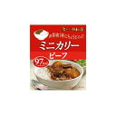 新宿中村屋 中村屋 ミニカリービーフ 100g x10 メーカー直送 お中元 ギフト 夏ギフト プレゼント