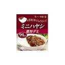 新宿中村屋 中村屋 ミニハヤシ 濃厚デミ 100g x10 メーカー直送 ギフト プレゼント