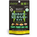 ファイン 黒のカロリー気にならない 75g(200mg×375粒) ファイン