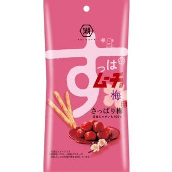 湖池屋 スティックすっぱムーチョ さっぱり梅 34g x6 メーカー直送 ギフト プレゼント お歳暮 冬ギフト