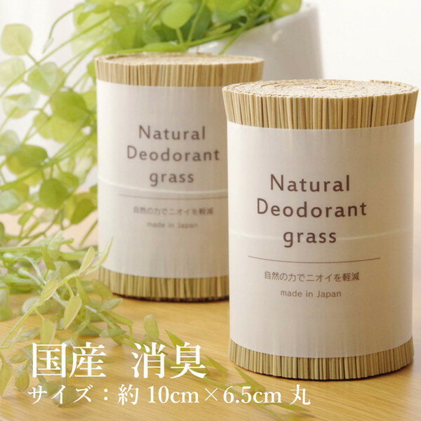 1120330010304 日本製 国産 消臭剤 い草 天然素材 デオグラス 帯白 約10×6.5cm丸 イケヒコ・コーポレーション メーカー直送