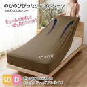 メリーナイト のびのびシーツ SD-D シンカーパイル 約110×185cm ベッドマットレス・敷ふとん兼用シーツ ブラウン 小栗