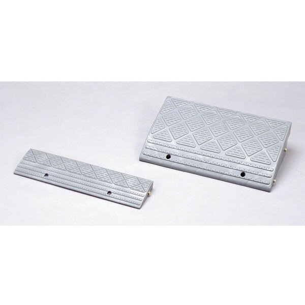 NDP-610E �����ꥹ������� ���졼 [�ʺ��ץ졼��] �᡼����ľ��