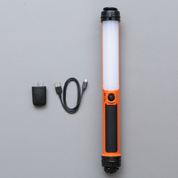 PROLEDS LWS-500SB-CH