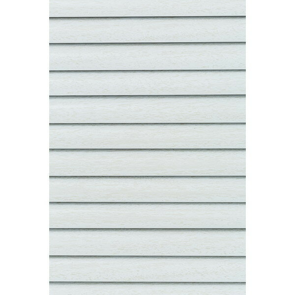 L0864 VC25 �쥸������ 175X138 WW Fullness �ۥ磻�ȥ��å� [����Ĵ����ߥ֥饤���] �᡼����ľ��