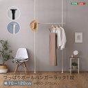 SH-29-TTHS-1 つっぱりハンガーラック 1段 幅120cm ホワイト ホームテイスト メーカー直送