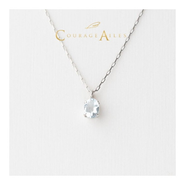 PREMOA ŷԾŹ㤨PDA-2270AQ Courage Ailes [ͥå쥹 (3 ޥ ŷ 顼ȡ Pt900 Pt850 ץ ڥ лˤ 뺧ˤ ǰ   £ʪ ץ 4] ᡼ľפβǤʤ25,800ߤˤʤޤ