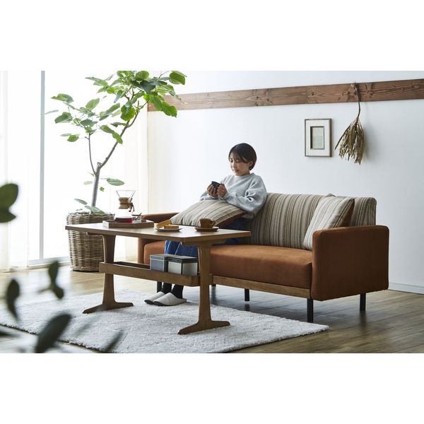 2.5P ラモーン キャメル(LF)/ストライプ 関家具 [3]