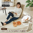 ルミナス スロープにもできる背もたれ座椅子 ブラウン ペット家具 ペット スロープ ドッグステップ 座椅子 背もたれ 段差 ソファ 一人掛け 犬 猫 チェア 抗...