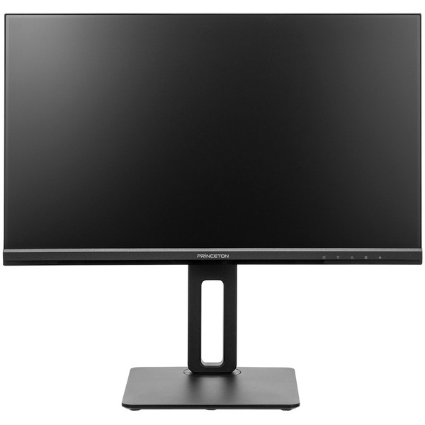 PTF-B241WS-BK princeton ブラック [23.8型ワイド液晶ディスプレイ]