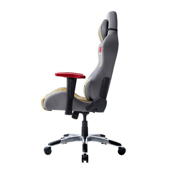 HOKUTO-NO-KEN/RAOH AKRacing [�����ߥ󥰥����� (���ͤη� �饪����ǥ�)]