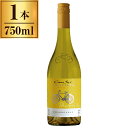 コノスル シャルドネ ビシクレタ レゼルバ / ヴィーニャ・コノスル 750ml 白ワイン チリ 辛口