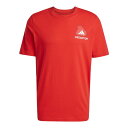 アディダス サッカー プレデター ヒストリー 半袖グラフィックTシャツ ベタースカーレット J/M KRH05 JD8218 ADIDAS