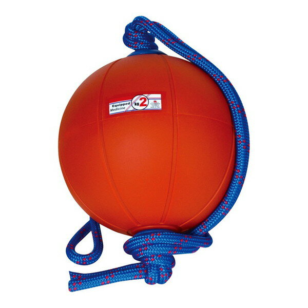 スウィングメディシンボール 2kg F 960 T5912 ニシスポーツ