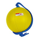 スウィングメディシンボール 6kg F 960 T5916 ニシスポーツ