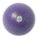 ネモメディシンボール 2kg F 960 NT5882C ニシスポーツ