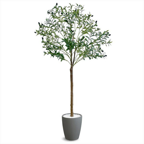 フェイクグリーン オリーブ 1800mm OLE-180GY アーバン通商 グレー メーカー直送