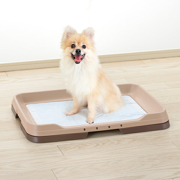 Richell お掃除簡単ステップトレー レギュラー ブラウン