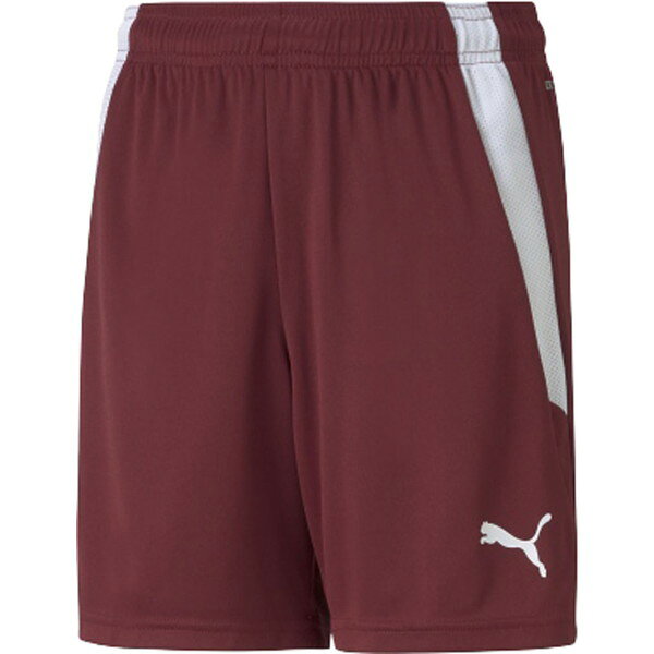 �ס��� ���å����ѥ�� TEAMLIGA ������ѥ�� �ѡ��ץ� 150cm 705145 09 PUMA