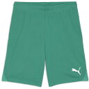 プーマ サッカーパンツ TEAMGOA ゲームパンツ グリーン L 706377 05 PUMA