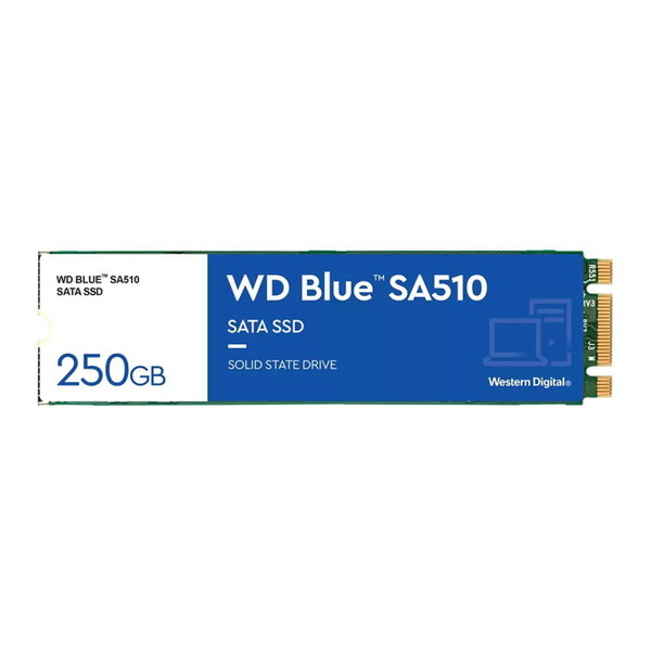 WDS250G3B0B SANDISK [内蔵SSD (M.2 2280 250GB)]【KK9N0D18P】