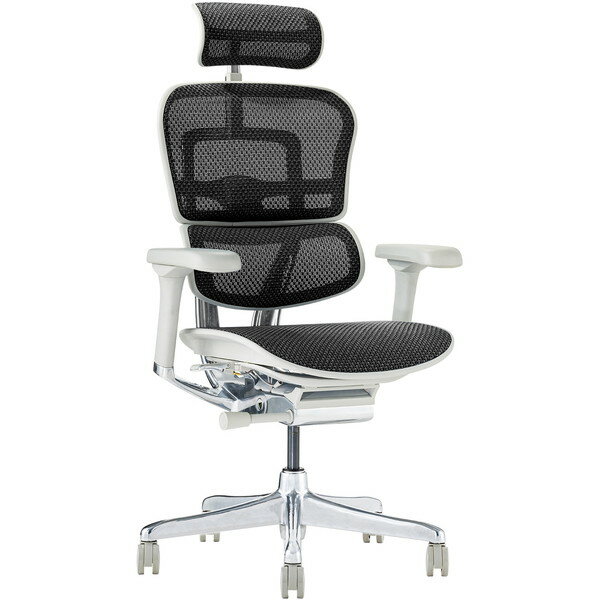 445411 EHP2-HAM-DR-GF-BK 関家具 グレーフレーム×ブラック [高機能チェア (エルゴヒューマン プロ2 ハイタイプ)] メーカー直送 [2]