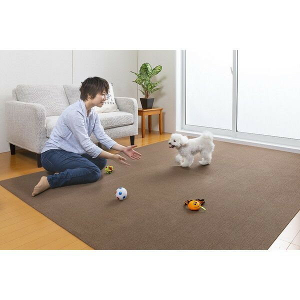 ���󥳡� �ڥå��Ѿ��ݸ�ޥå� 60��240cm �֥饦��