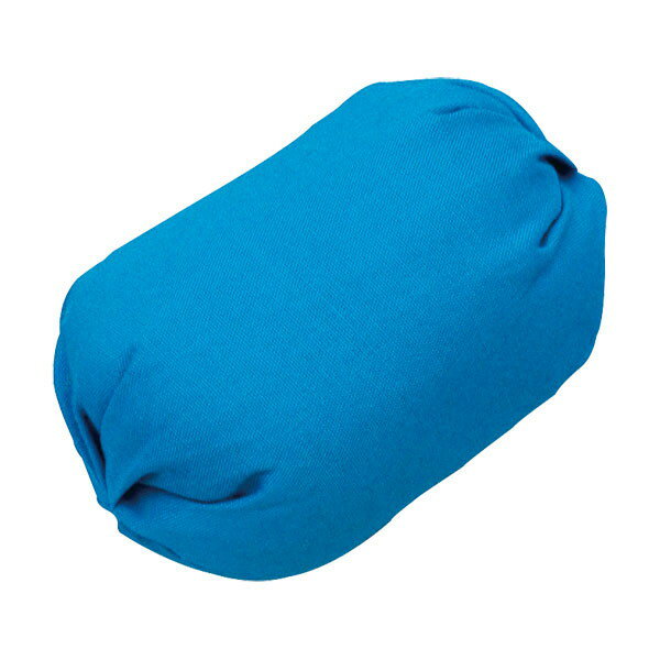 学校体育器具 ベイルカラー玉 ブルー B-3704B トーエイライト(4.0)