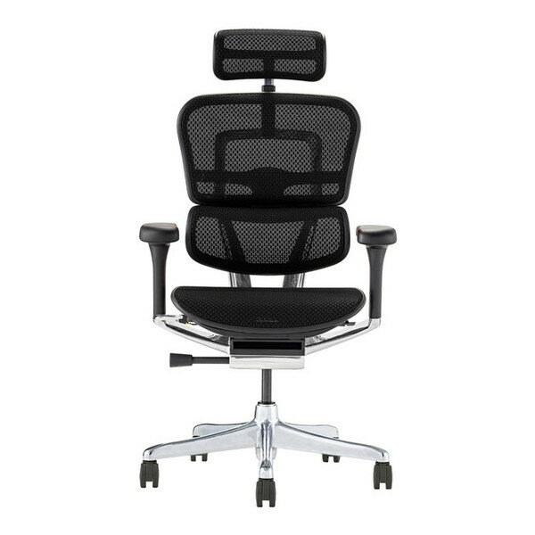 445406 EHP2-HAM-DR-BF-BK 関家具 ブラックフレーム×ブラック [高機能チェア (エルゴヒューマン プロ2 ..