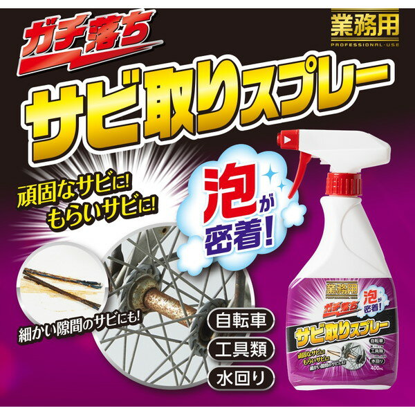 1010220 業務用ガチ落ちサビ取りスプレー アイメディア