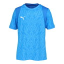 プーマ サッカーシャツ TEAMCUP ゲームシャツ XXL 706793 02 PUMA Electro Royal-PUMA White-PUMA Team...