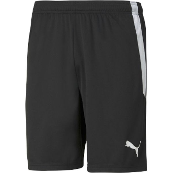 �ס��� ���å��� ������ TEAMLIGA ������ѥ�� �֥�å� L 705151 03 PUMA