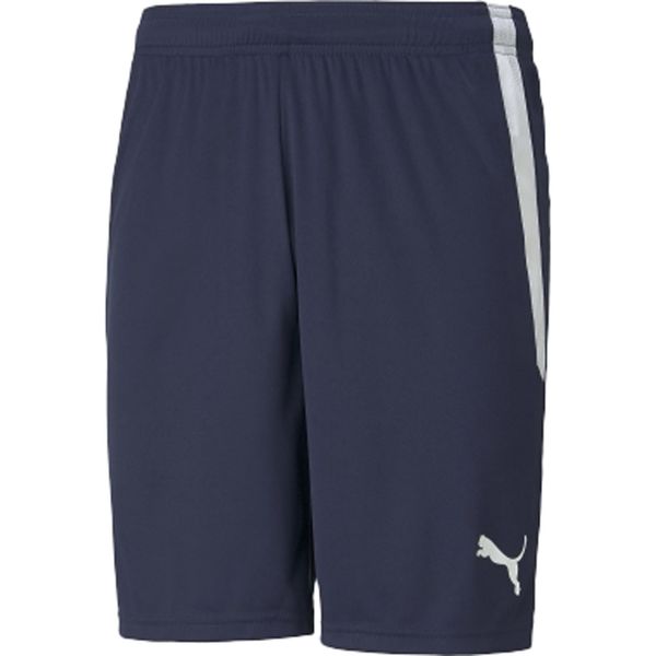 Other - プーマ サッカー ウエア TEAMLIGA ゲームパンツ ネイビー L 705151 06 PUMA