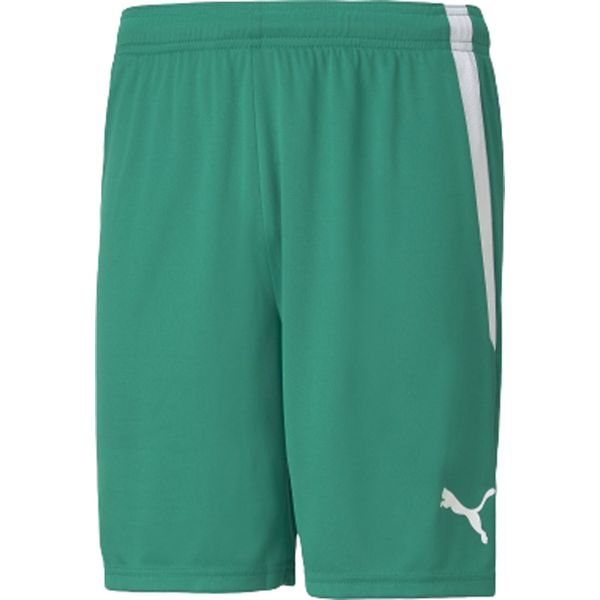 �ס��� ���å��� ������ TEAMLIGA ������ѥ�� ���꡼�� L 705151 05 PUMA