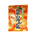 川口製菓 和歌山みかん飴 100gx10 メーカー直送 お中元 ギフト 夏ギフト プレゼント