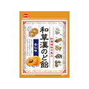 加藤製菓 和草漢のど飴 杏仁味 54gx10 メーカー直送 お中元 ギフト 夏ギフト プレゼント