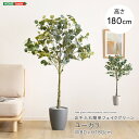 SH-06-EUC-L お手入れ簡単フェイクグリーン ユーカリ Lサイズ(180cm) グレー ホームテイスト メーカー直送