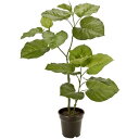 東京堂 FG015100 造花 ウンベラータ SGREEN メーカー直送